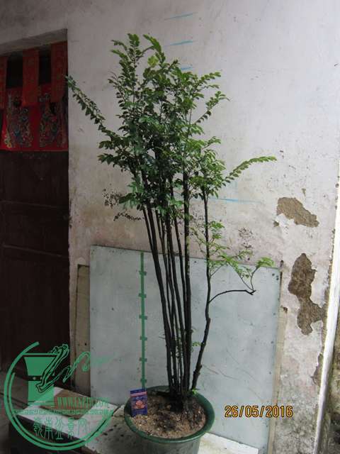 IMG_0023.JPG