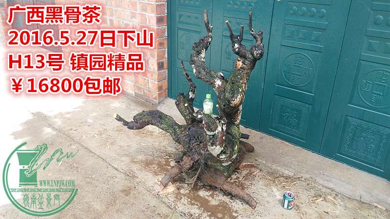 IMG_20160527_145132_.jpg