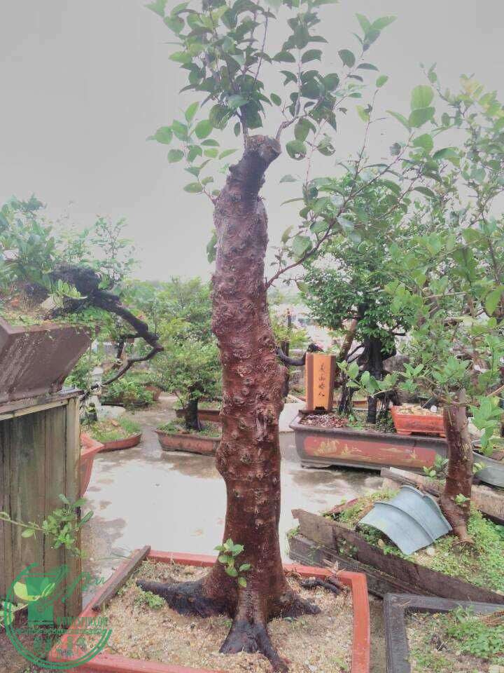 QQͼƬ20160529191439.jpg