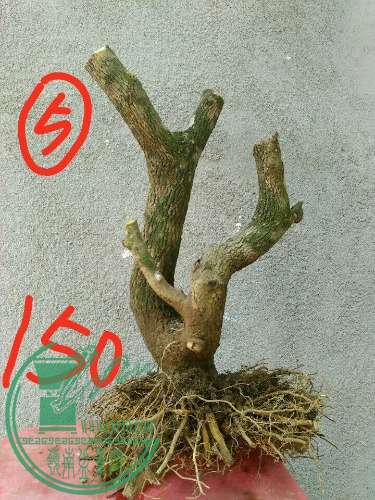 -6bbad2011af5009c.jpg
