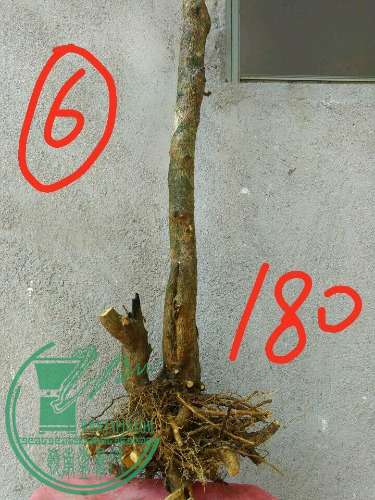 -4f65470ce958ab9d.jpg