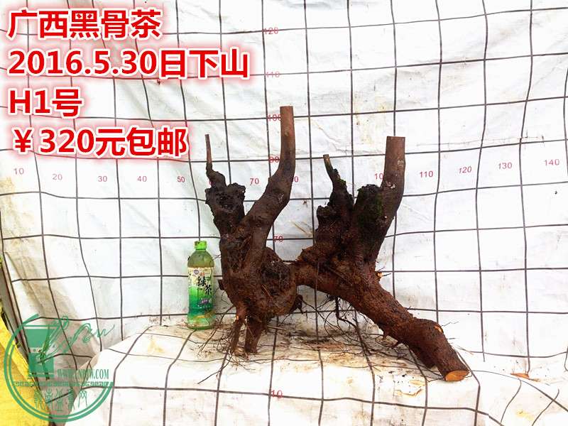 QQͼƬ20160530202145_.jpg