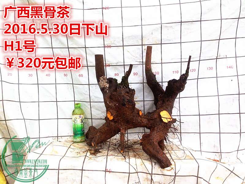QQͼƬ20160530202155_.jpg