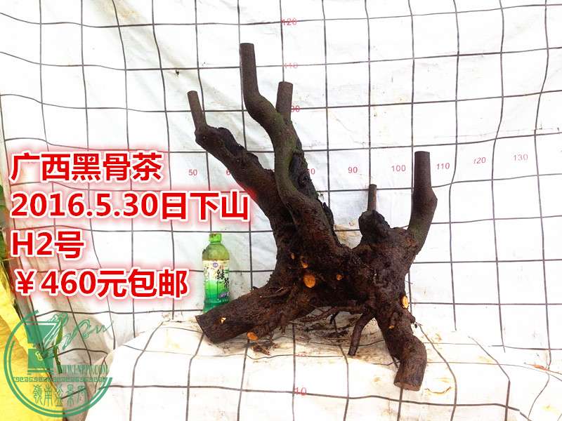 QQͼƬ20160530202258_.jpg