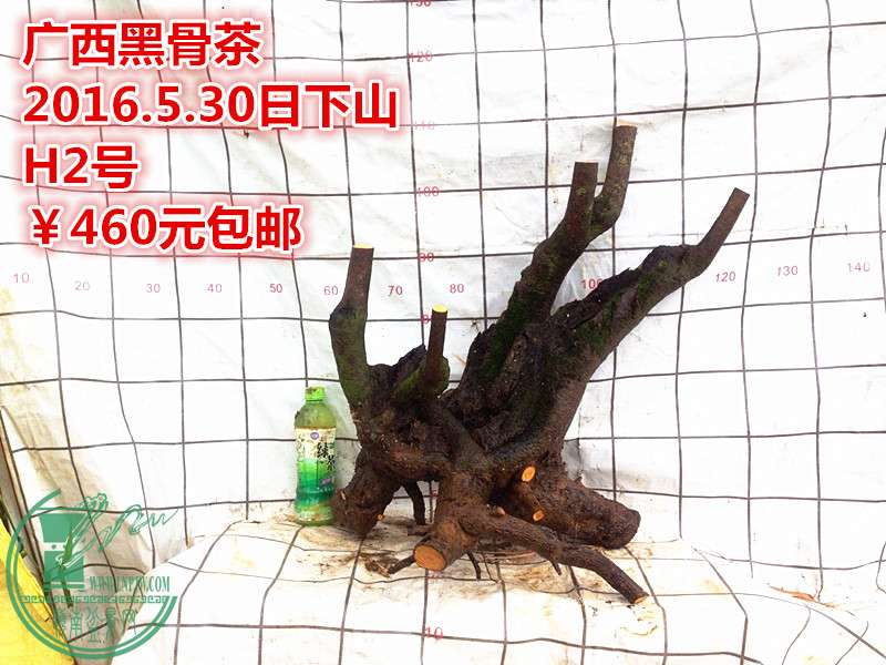QQͼƬ20160530202305_.jpg