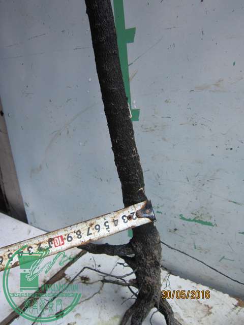 IMG_0064.JPG