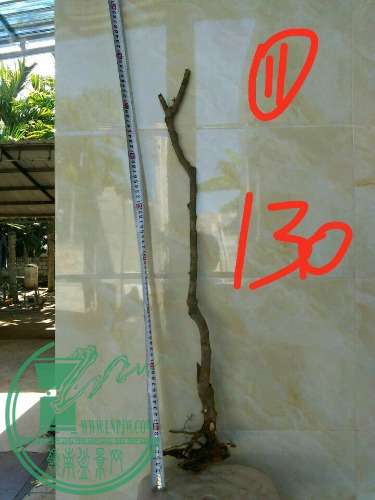 -48ae9d9317c92db9.jpg