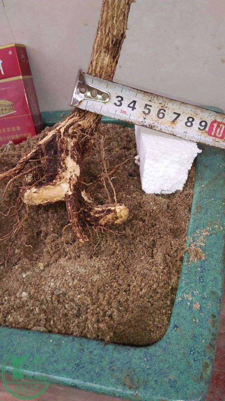 QQͼƬ20160531203935.jpg