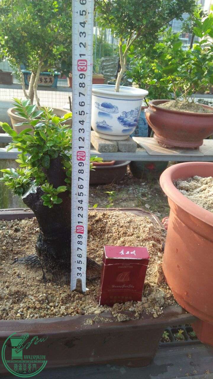 QQͼƬ20160601204427.jpg