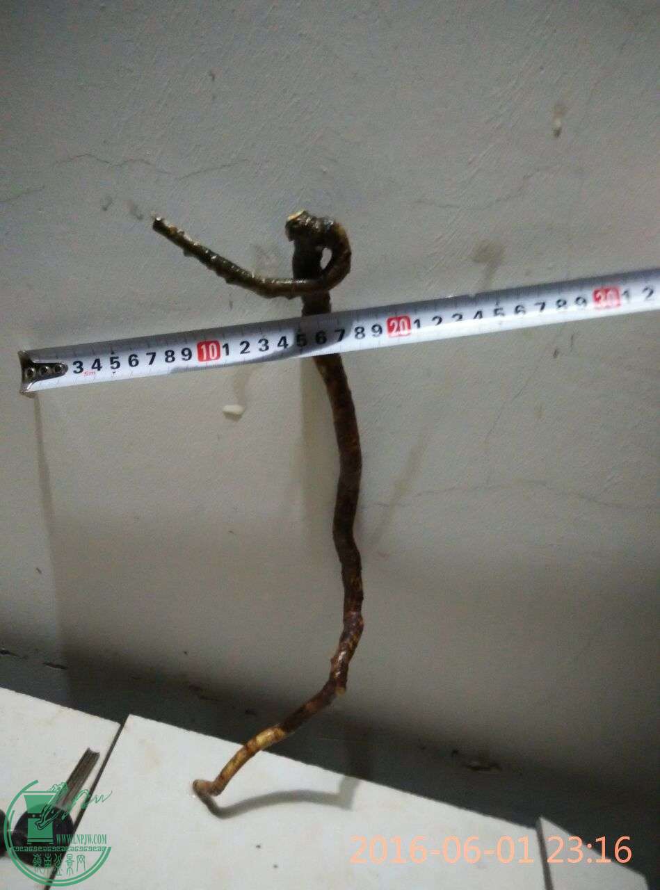 17.jpg