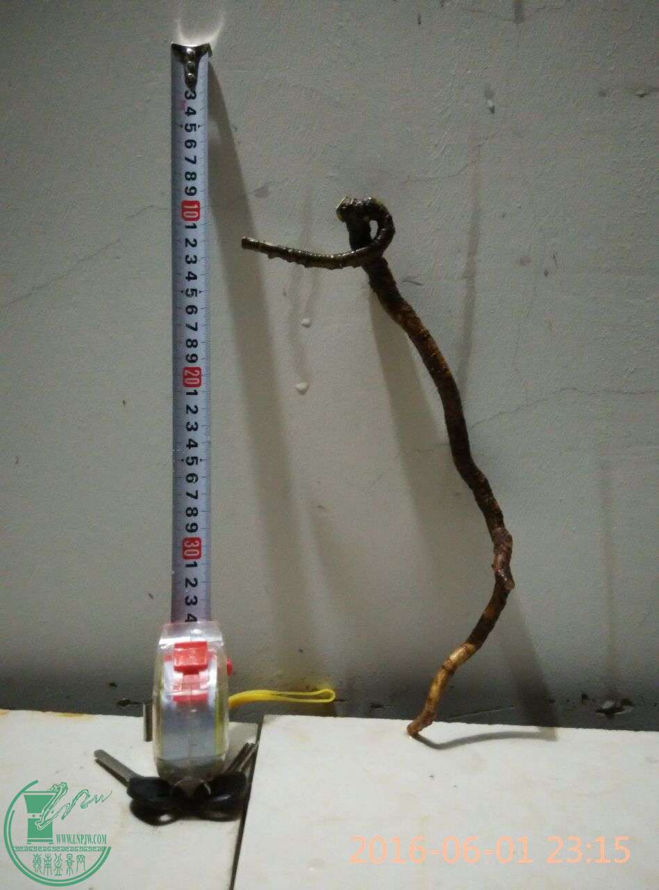 18.jpg