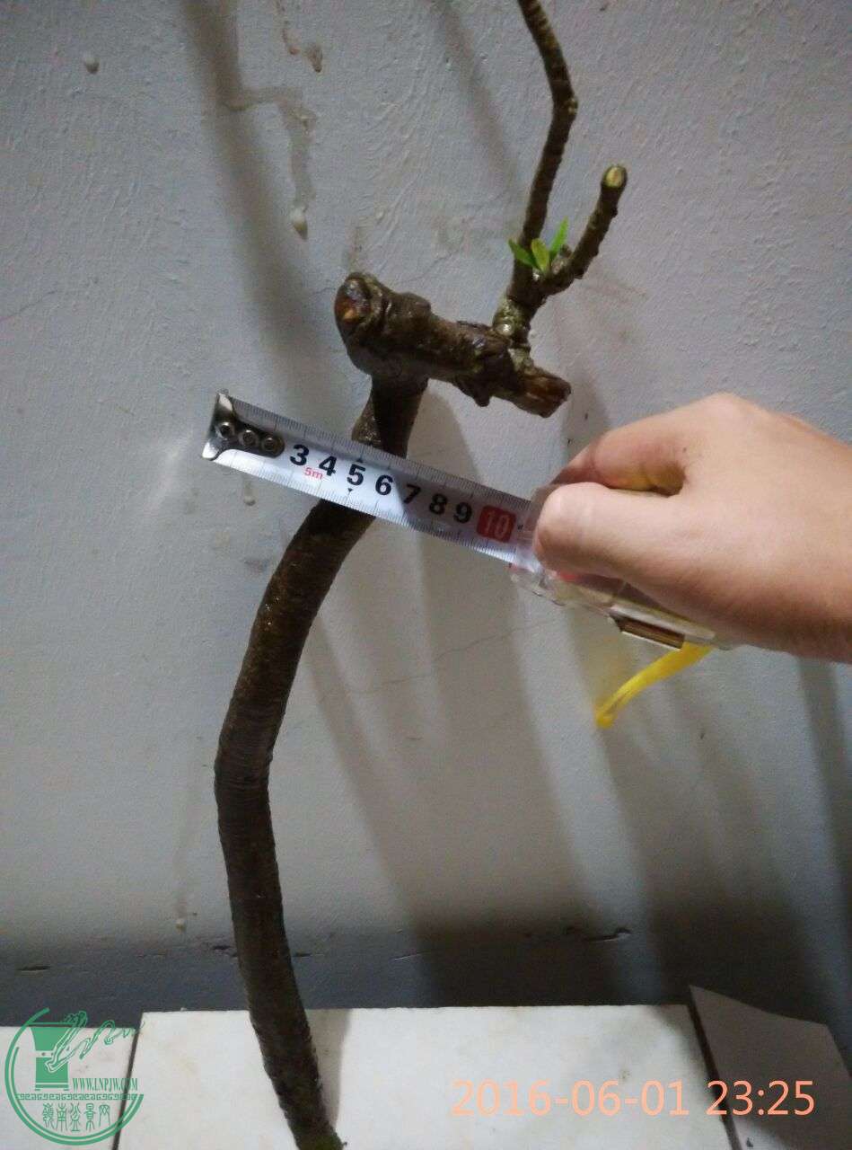 21.jpg