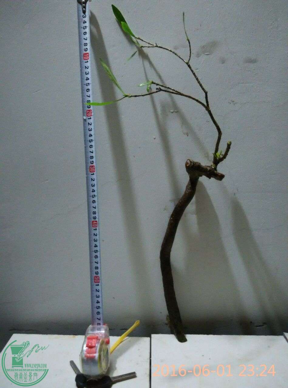 23.jpg
