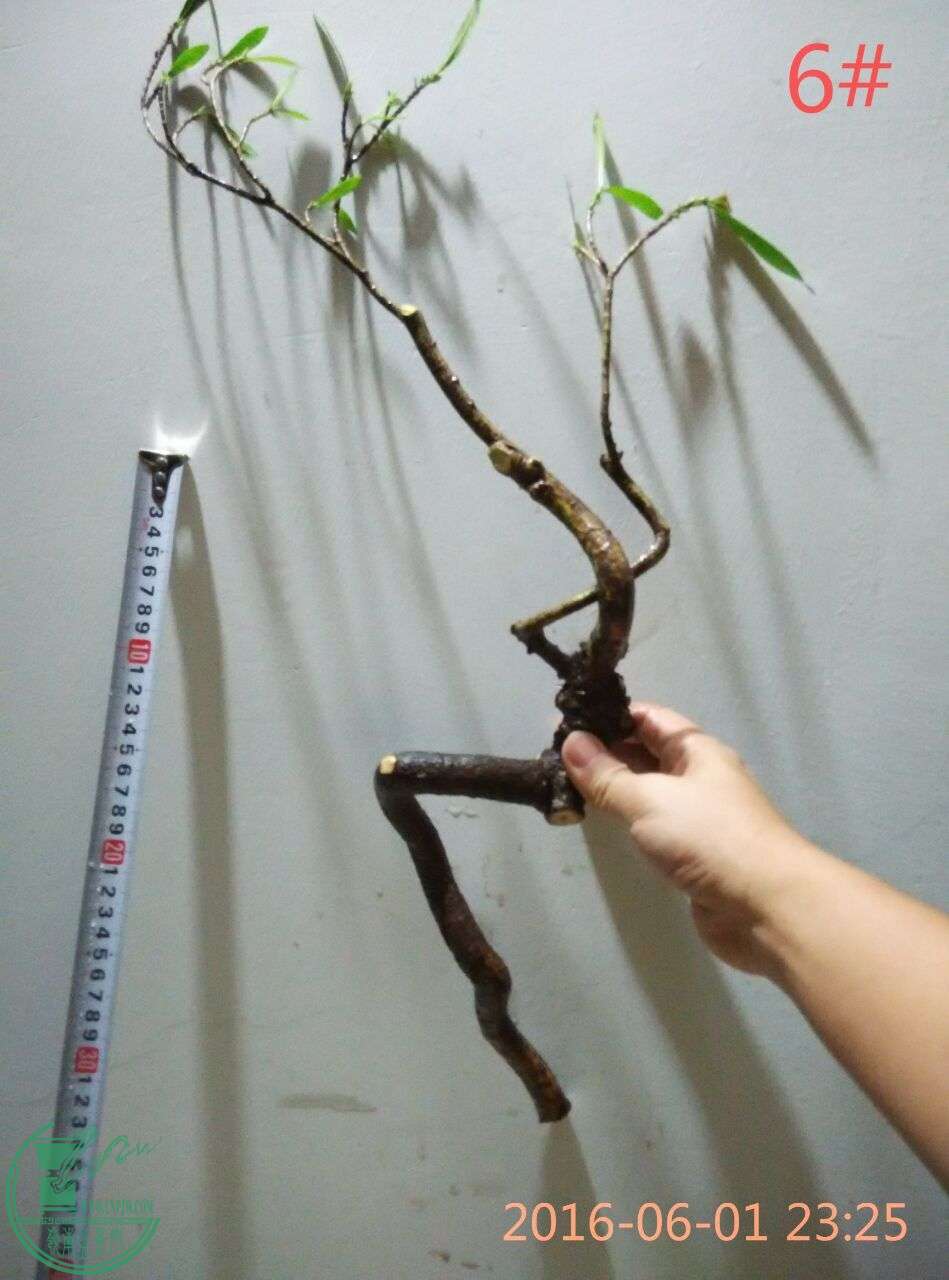 24.jpg