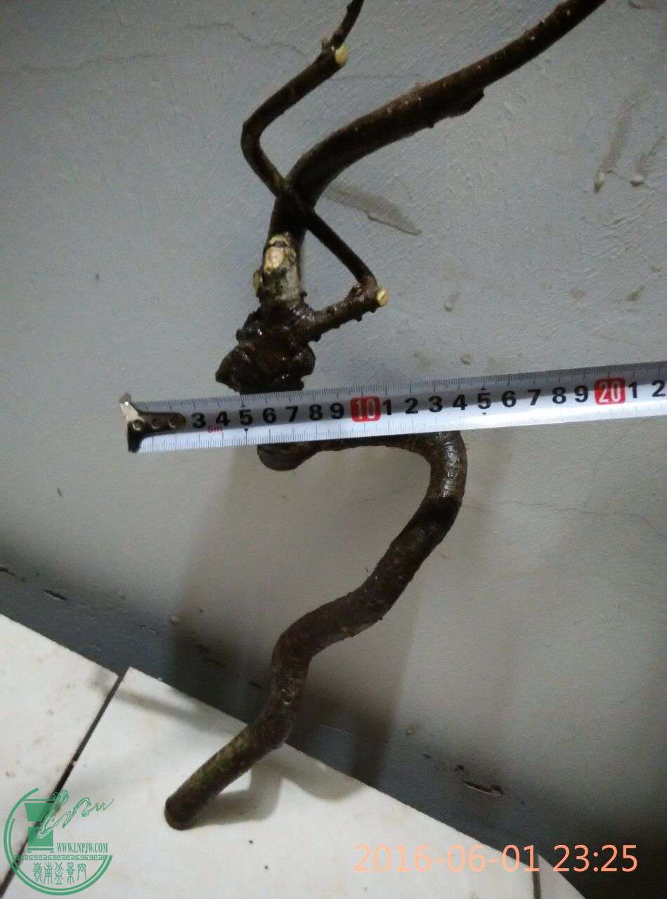 25.jpg