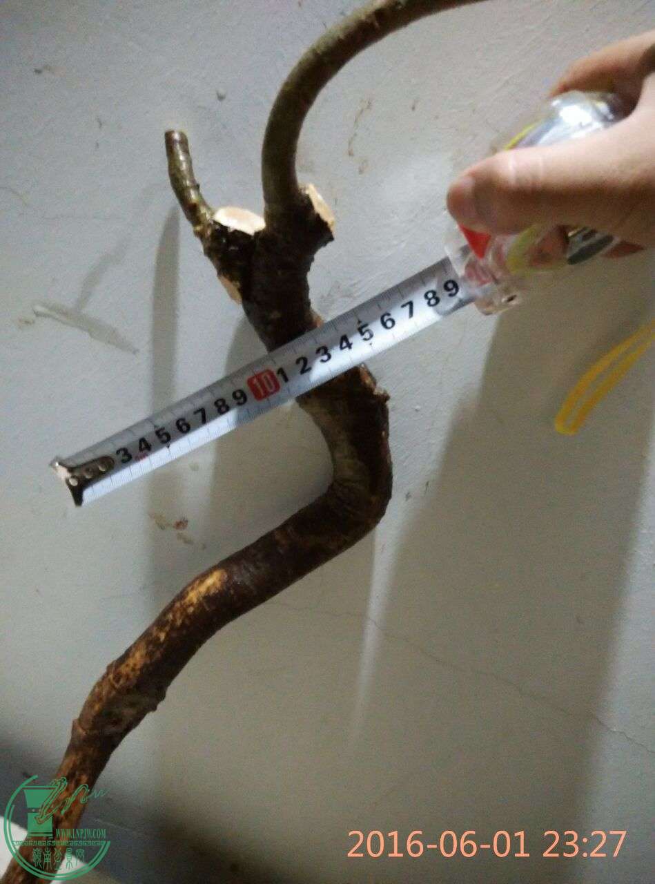 29.jpg