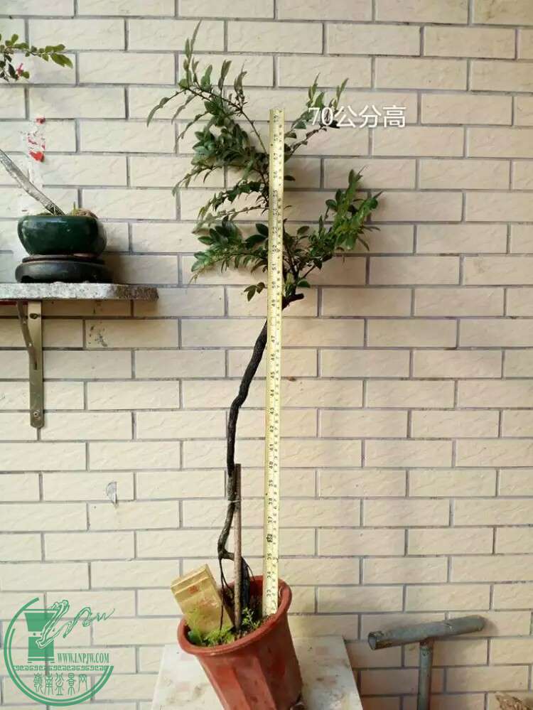 1464826870999.jpeg