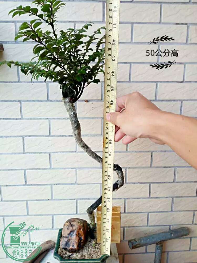 1464826843919.jpeg