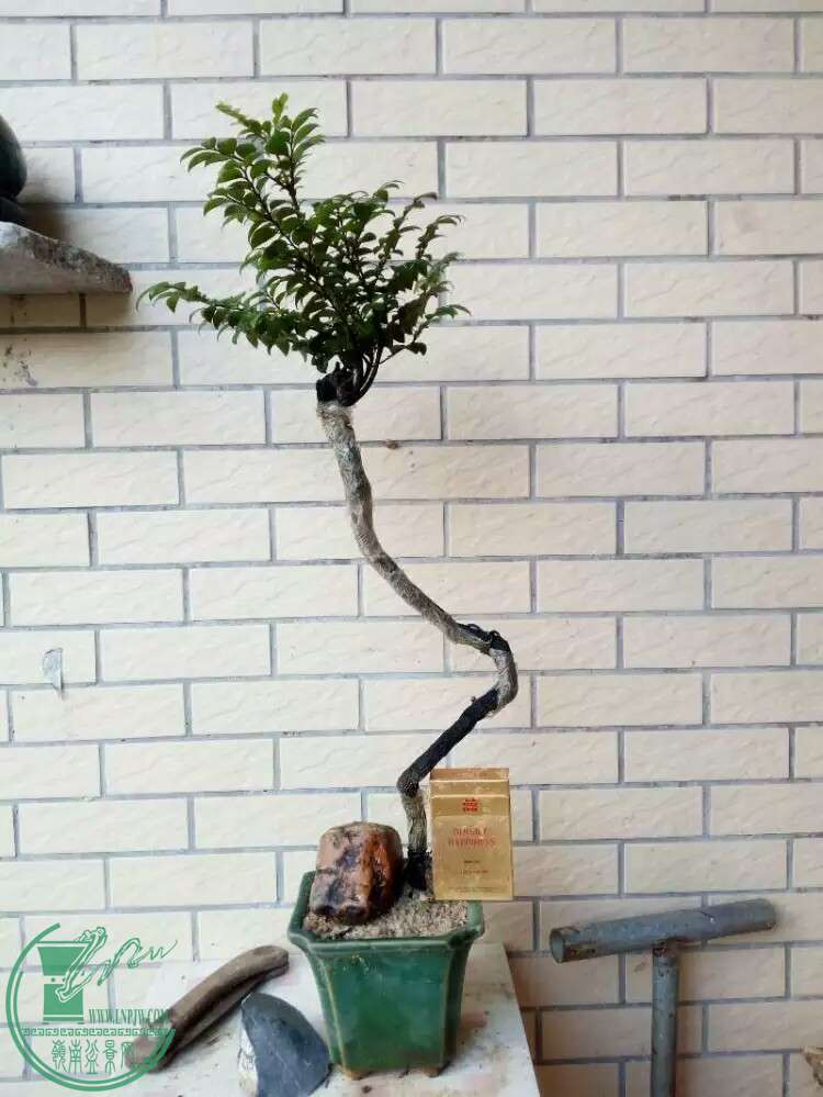 һ