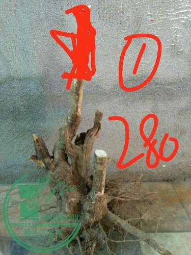 7ddad726c594b24e.jpg