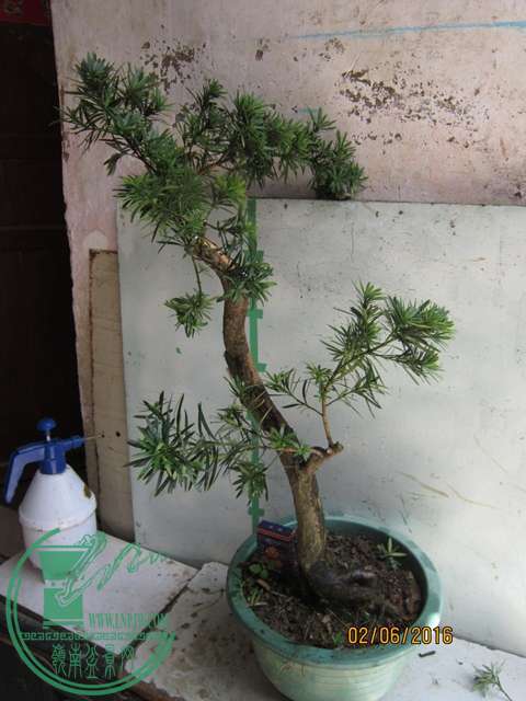 IMG_0057.JPG