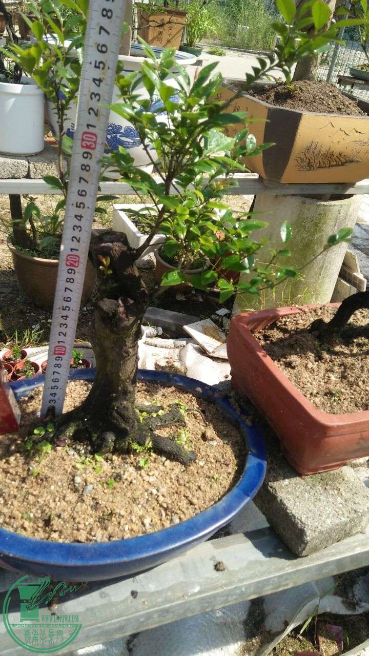 QQͼƬ20160603210017.jpg