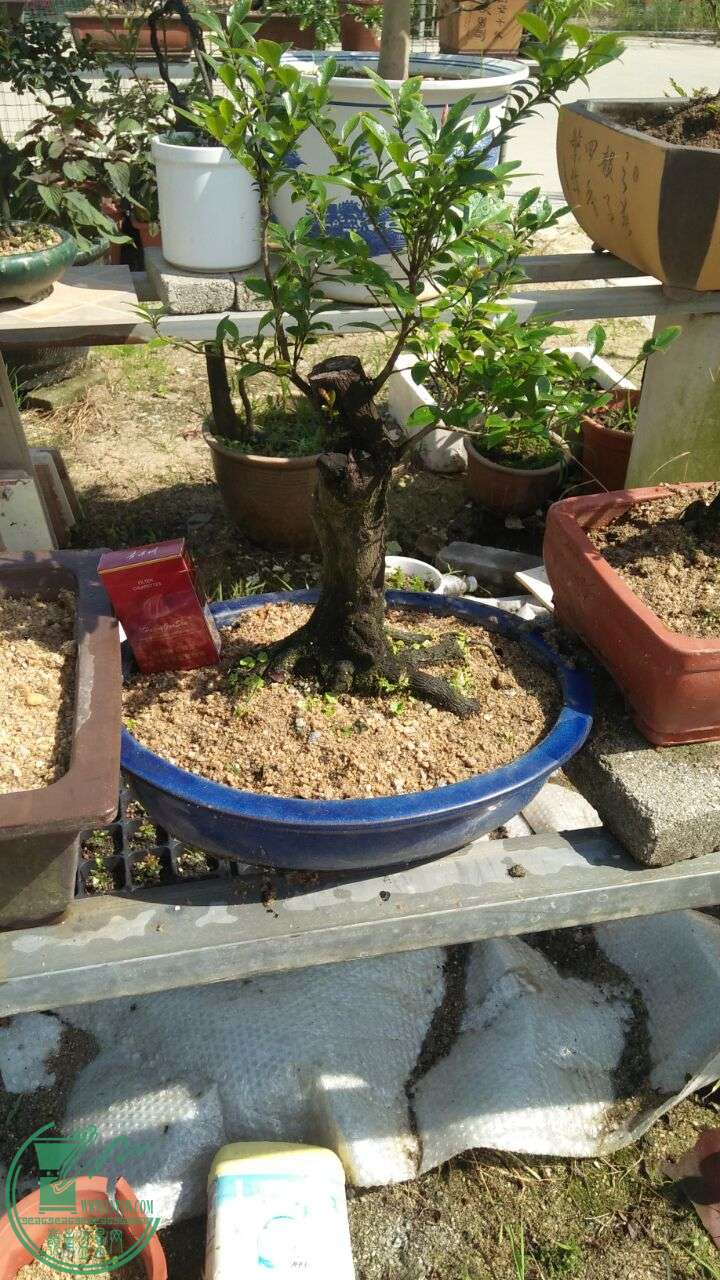 QQͼƬ20160603205845.jpg