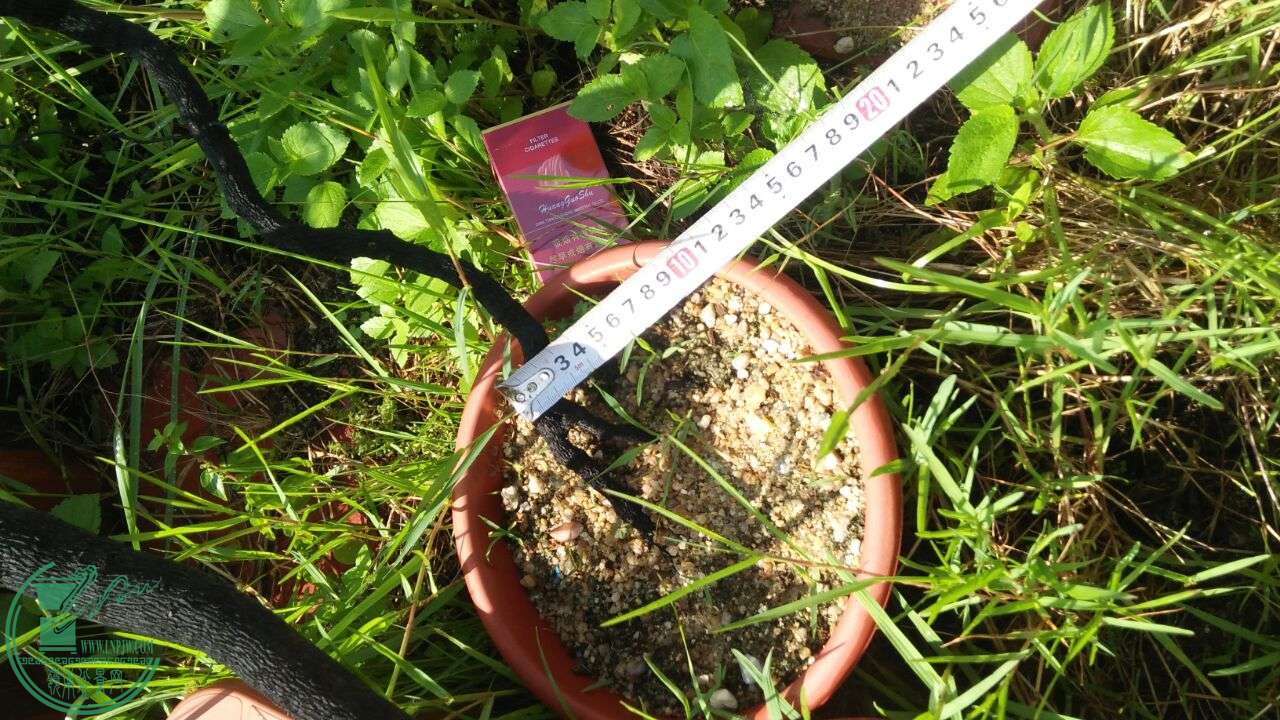 QQͼƬ20160603210031.jpg