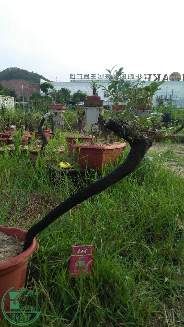 QQͼƬ20160601204422.jpg