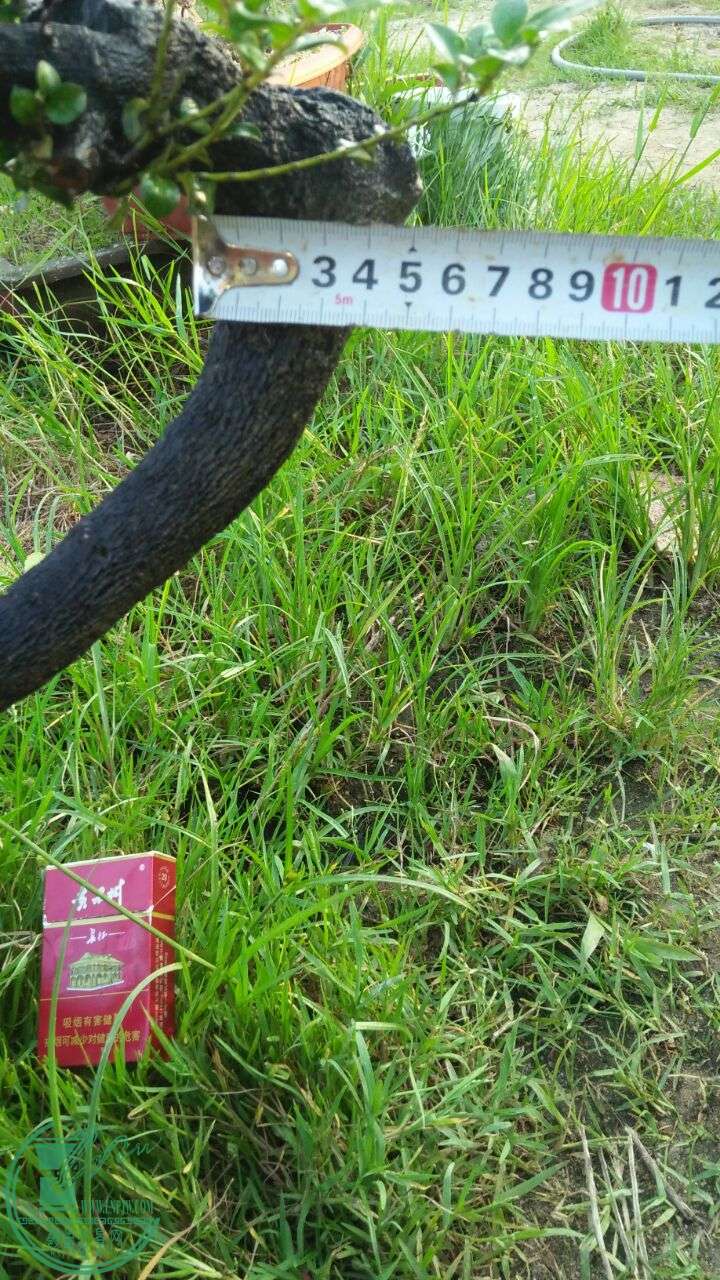 QQͼƬ20160601204443.jpg