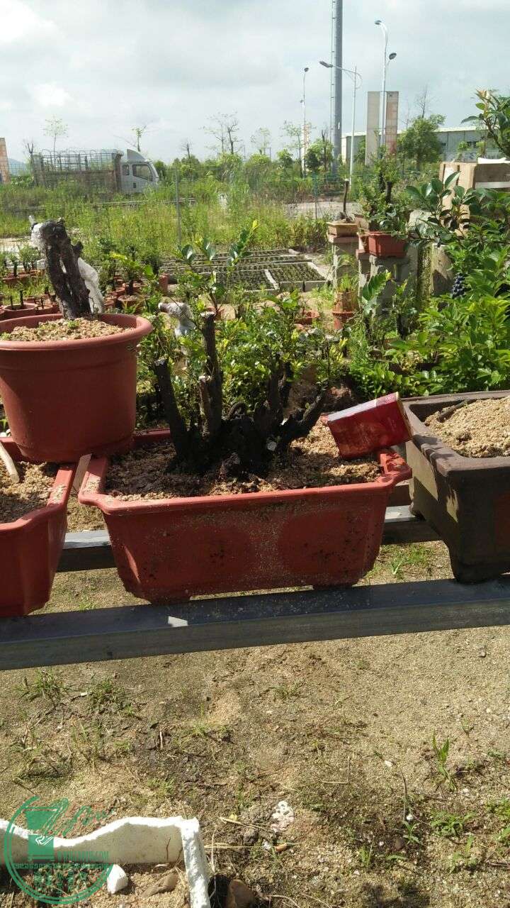 QQͼƬ20160603205940.jpg