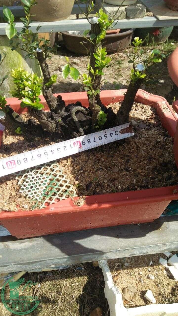 QQͼƬ20160603205900.jpg