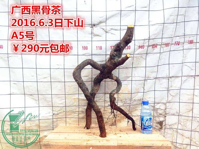 QQͼƬ20160603205511_.jpg