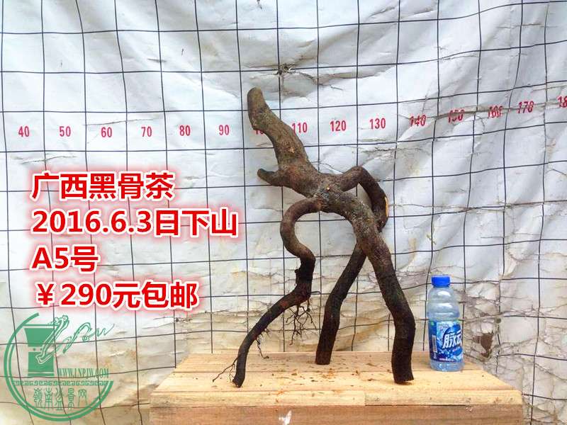 QQͼƬ20160603205516_.jpg