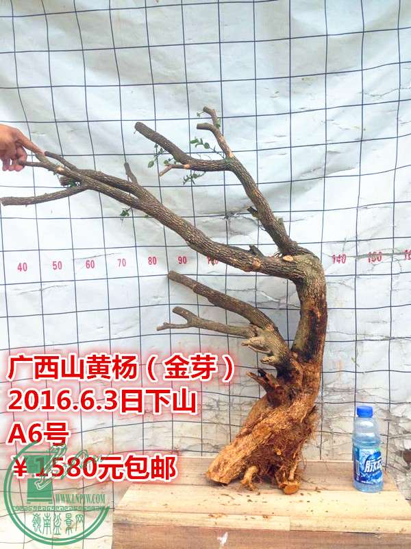 QQͼƬ20160603205527_.jpg