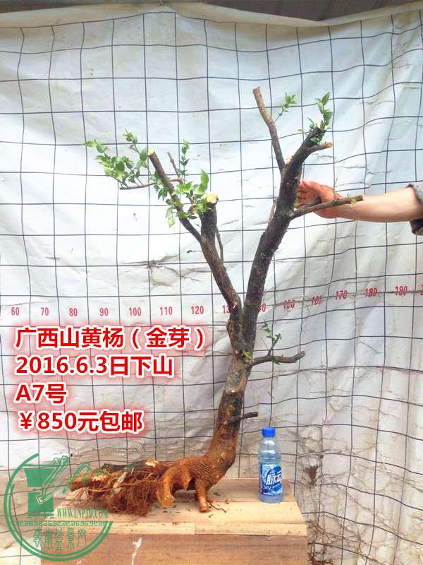 QQͼƬ20160603205532_.jpg