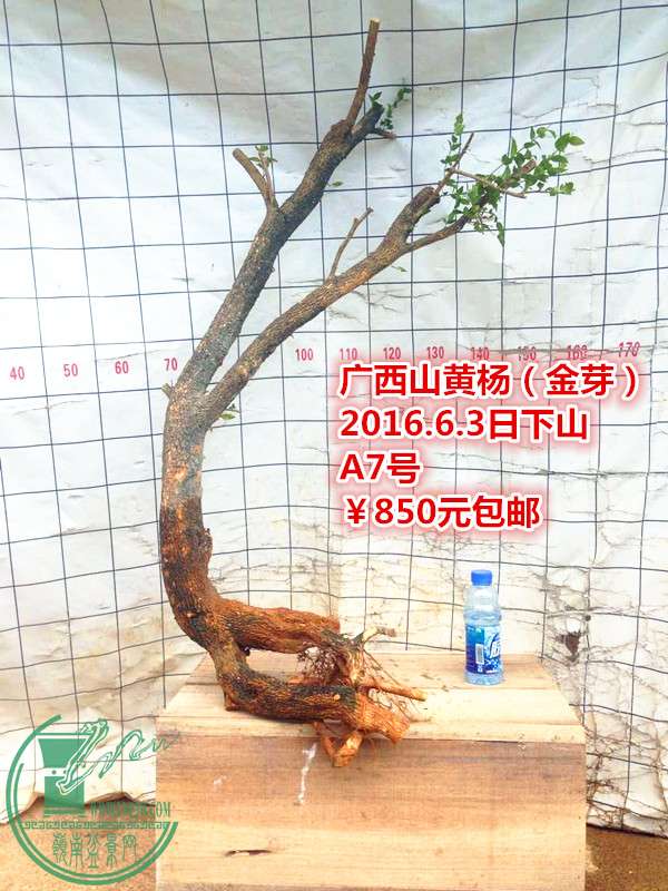 QQͼƬ20160603205537_.jpg