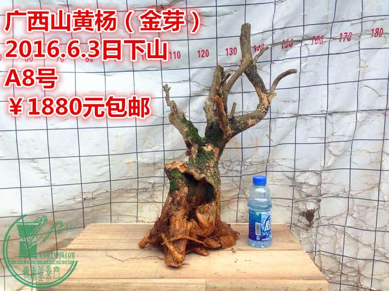 QQͼƬ20160603205541_.jpg
