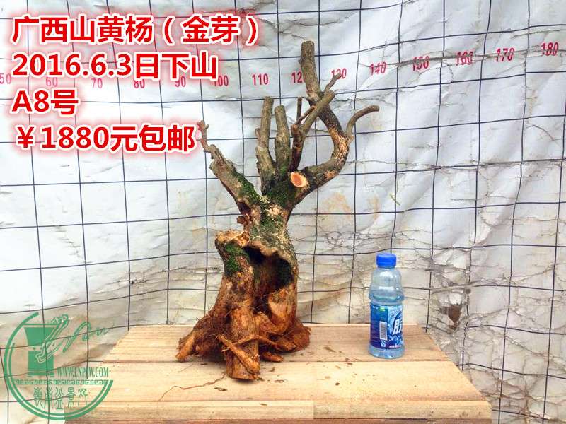 QQͼƬ20160603205556_.jpg