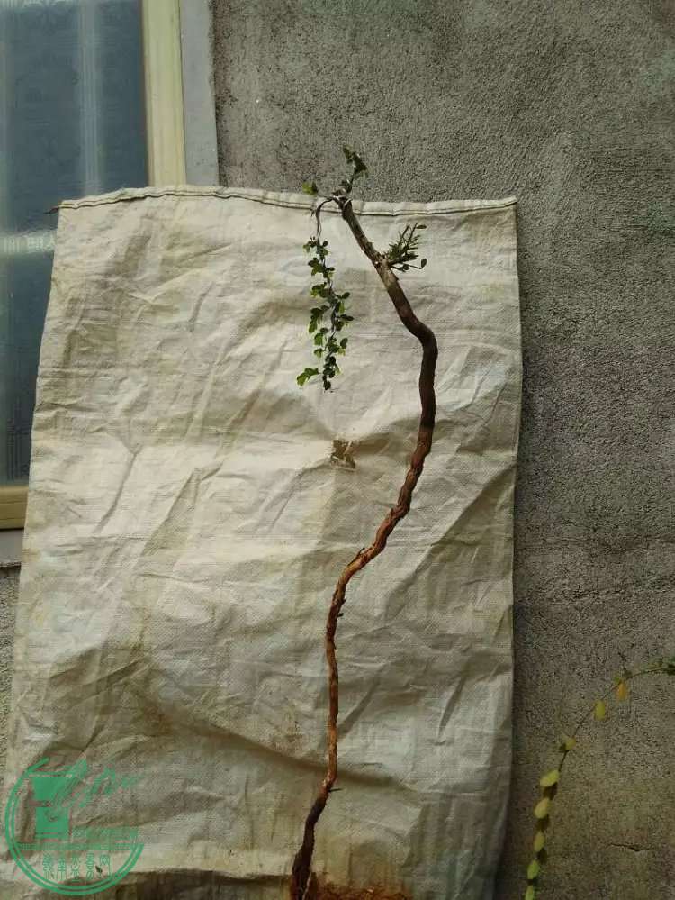 2..2.jpg