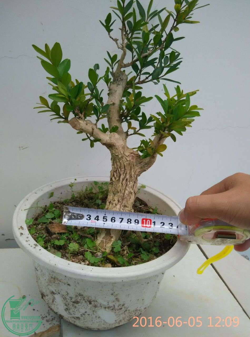 QQͼƬ20160605131953.jpg