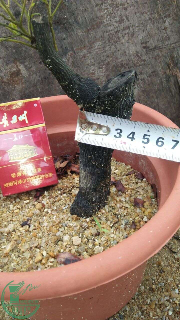 QQͼƬ20160605185826.jpg