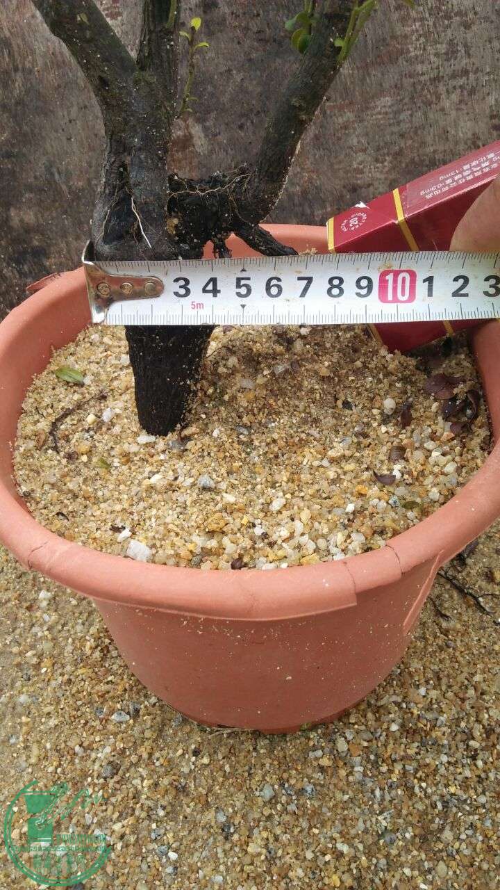 QQͼƬ20160605185848.jpg