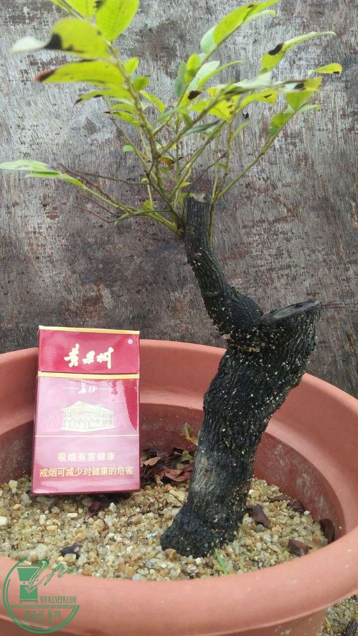 QQͼƬ20160605185842.jpg