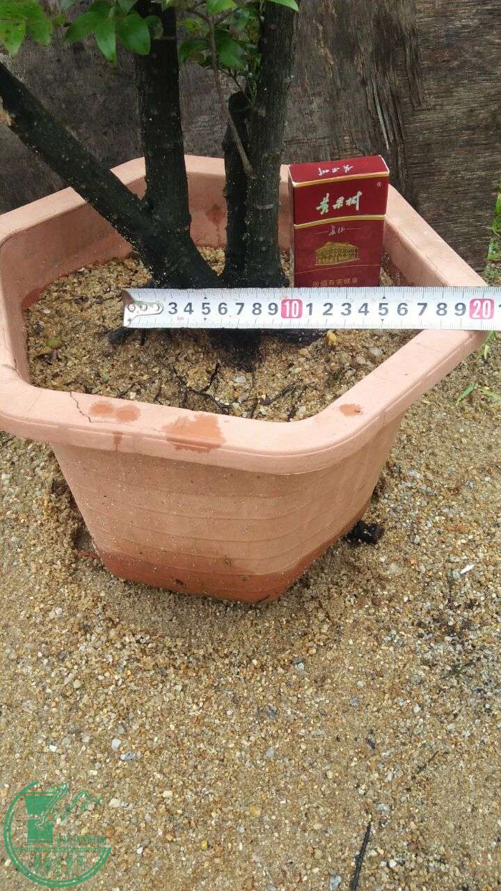 QQͼƬ20160605185757.jpg