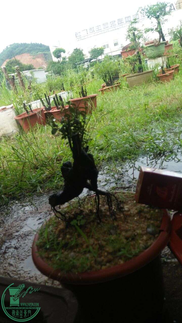 QQͼƬ20160606214955.jpg