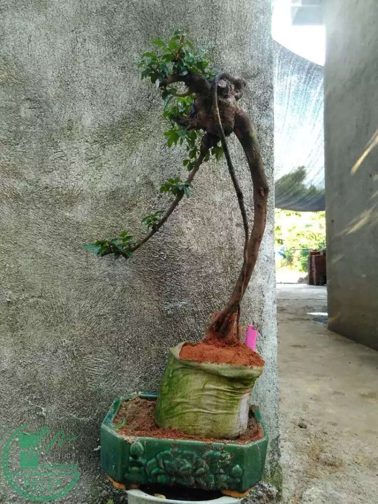 4.1.jpg