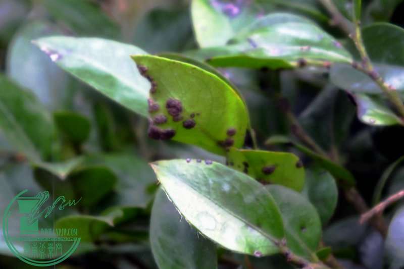 DSCF2889.JPG