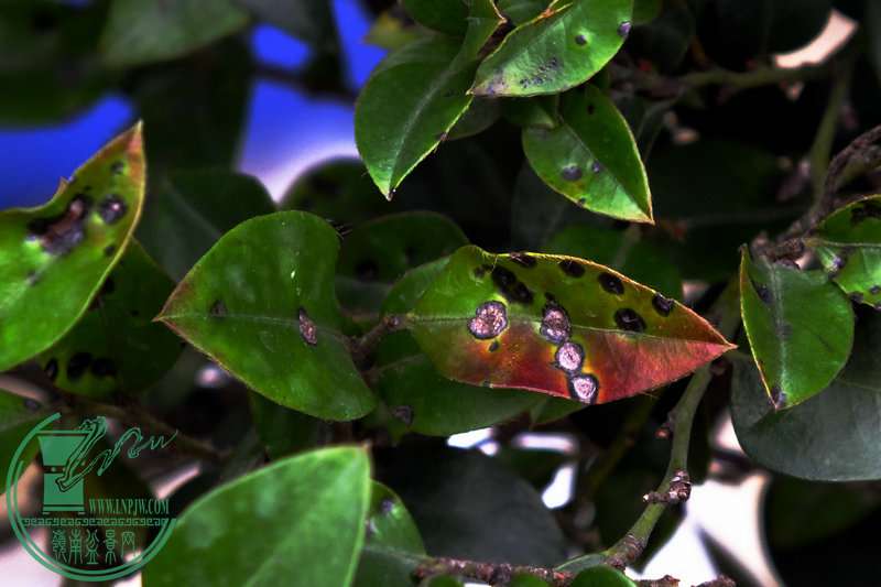 DSCF2890.JPG
