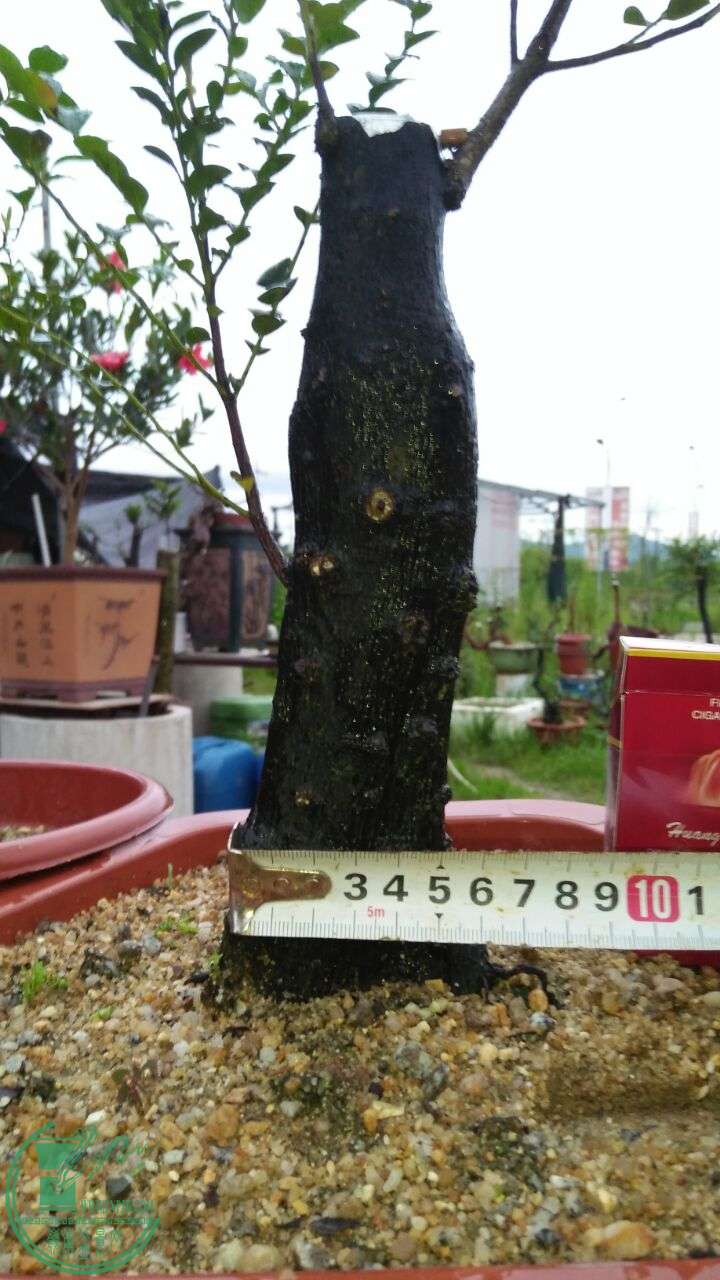 QQͼƬ20160607205851.jpg